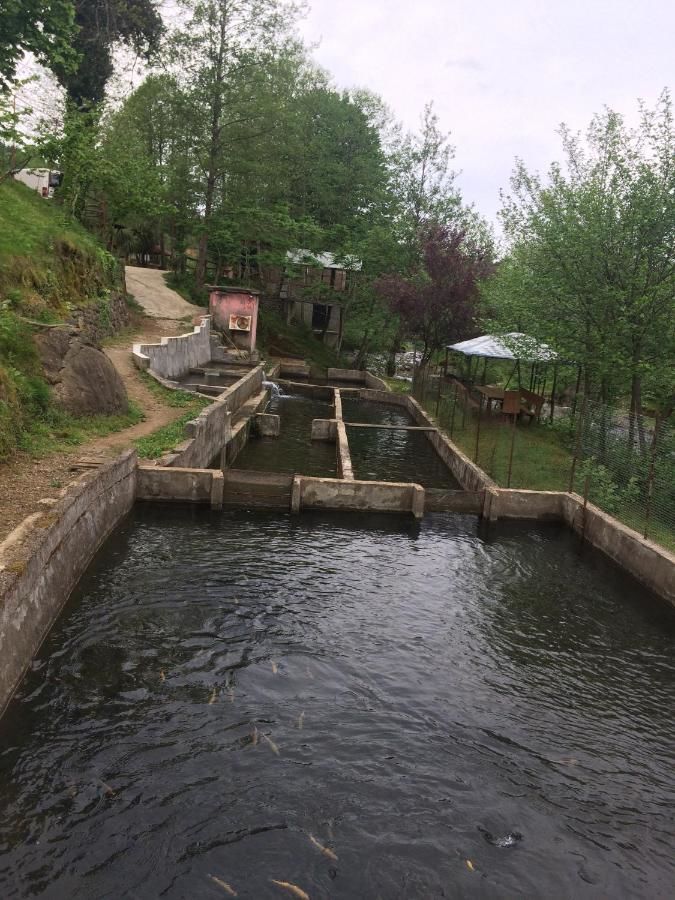 Отели типа «постель и завтрак» LIANA HOUSE Батуми-8