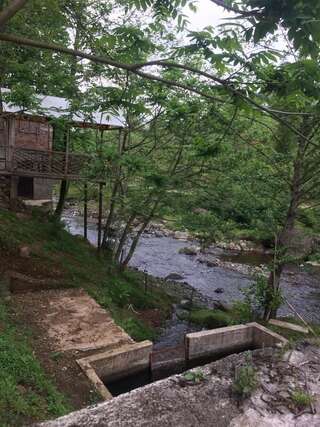 Отели типа «постель и завтрак» LIANA HOUSE Батуми-7
