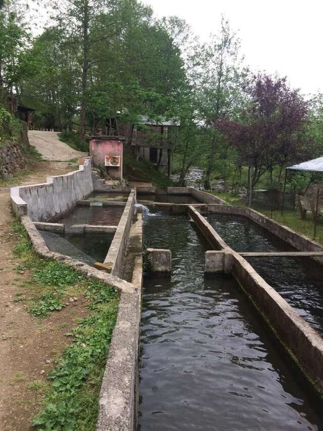 Отели типа «постель и завтрак» LIANA HOUSE Батуми-12