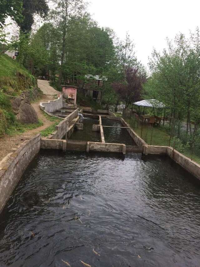 Отели типа «постель и завтрак» LIANA HOUSE Батуми-25